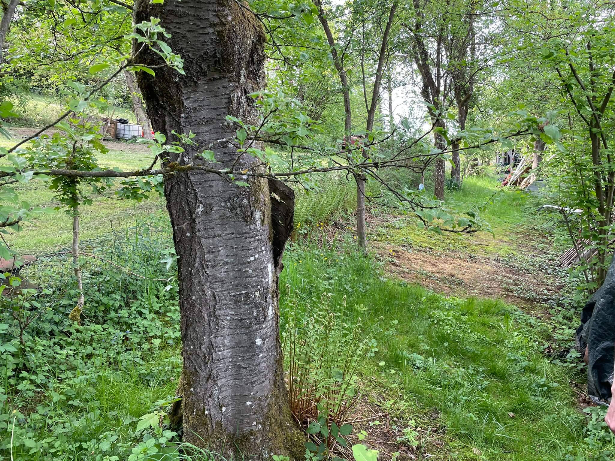 Südseite
