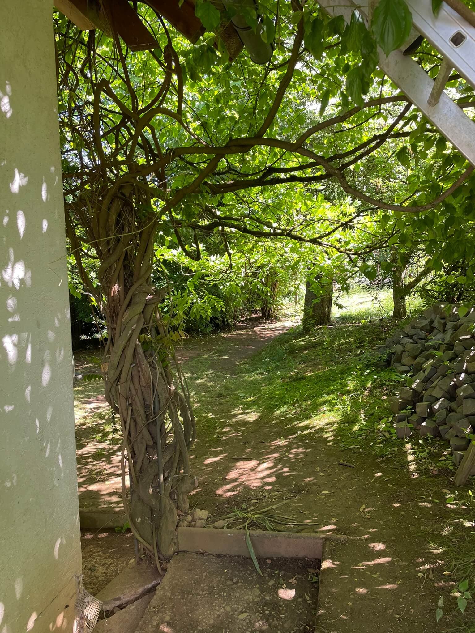Garten