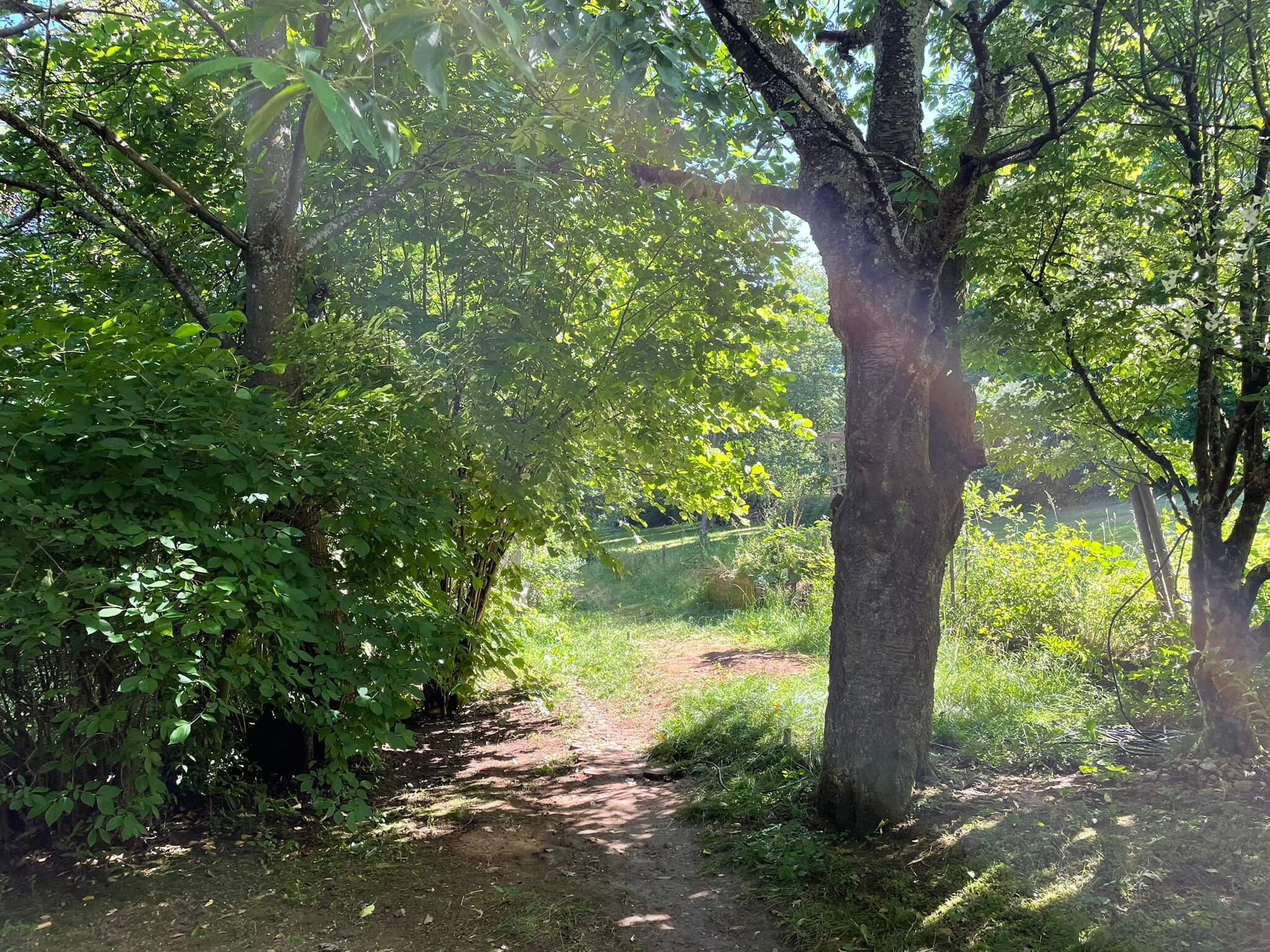 Garten