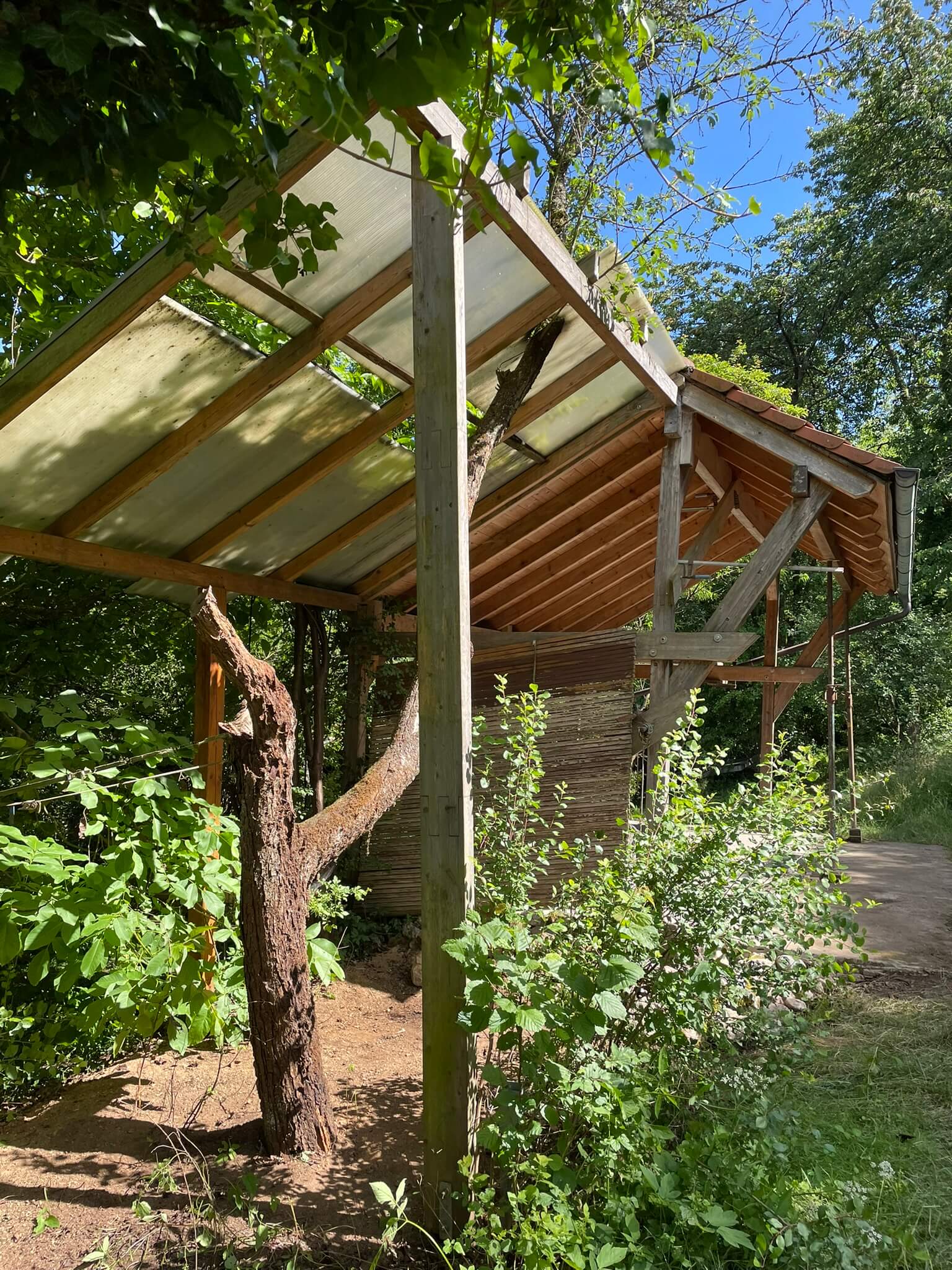 Garten