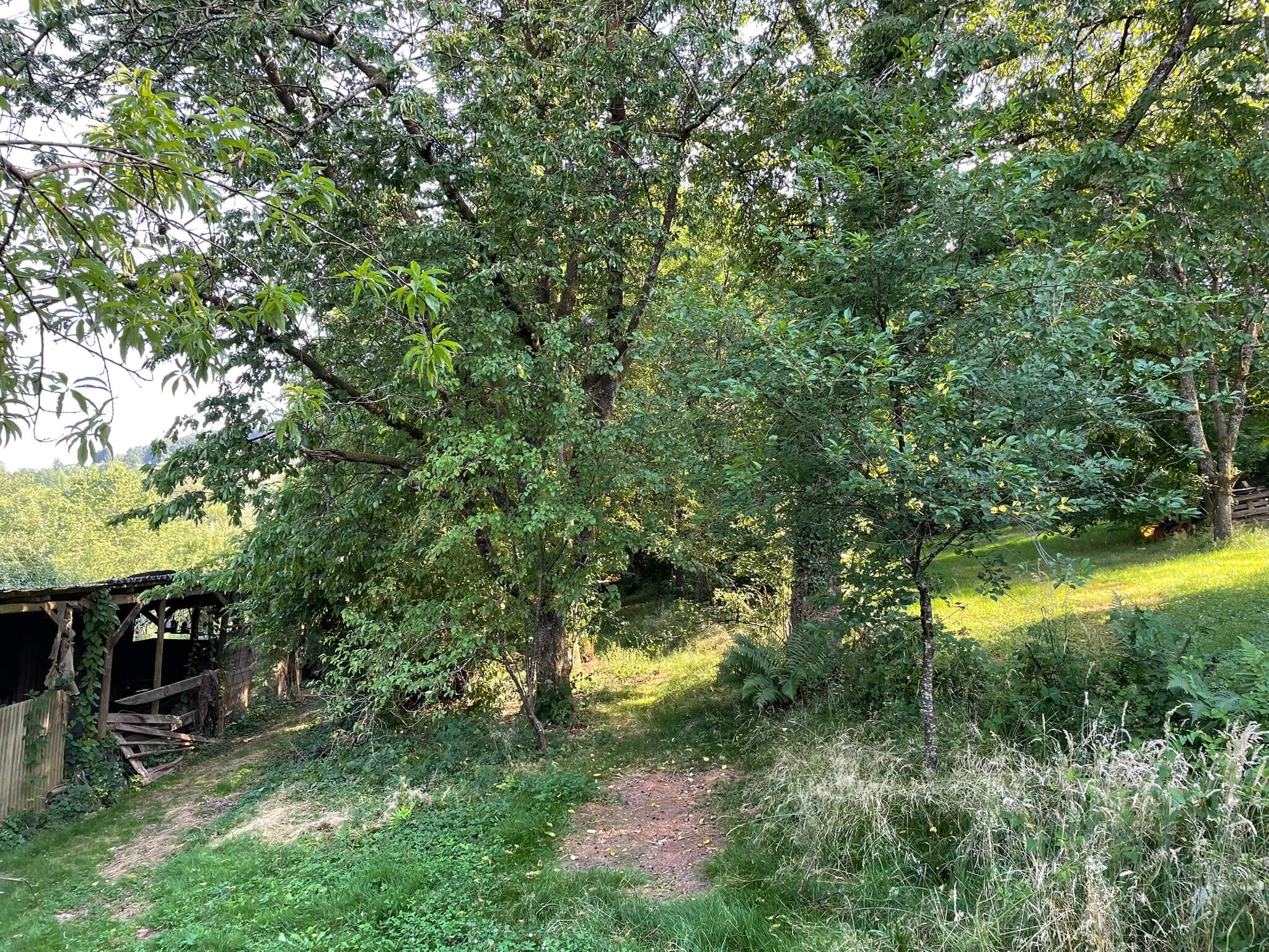 Garten