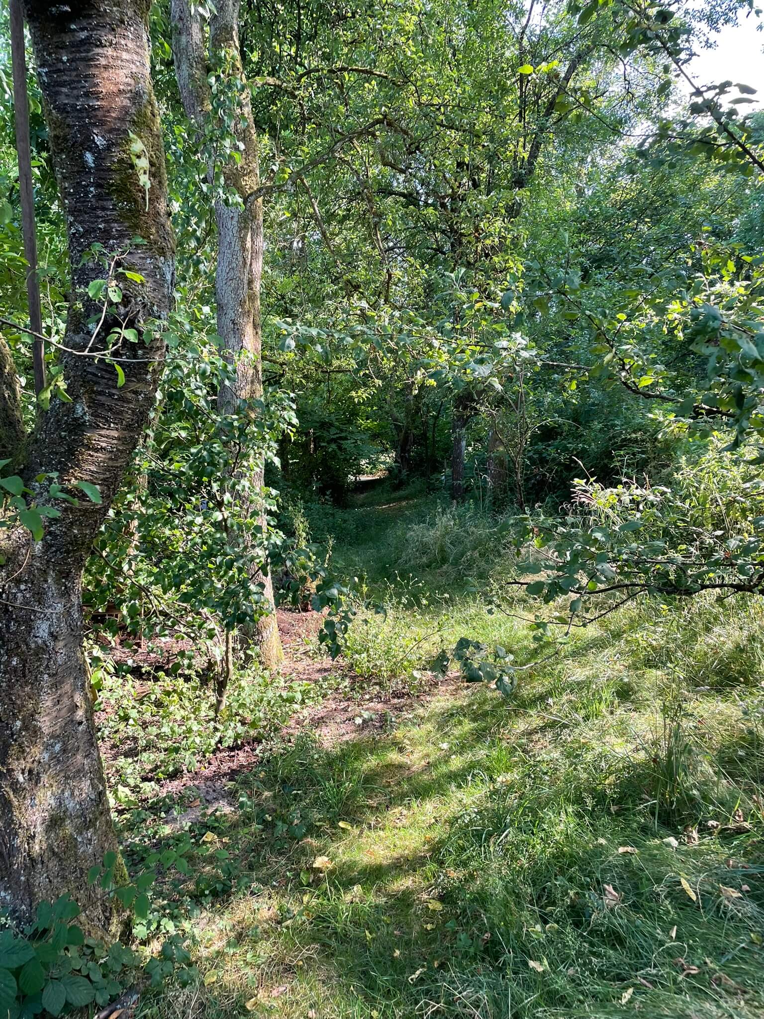 Garten