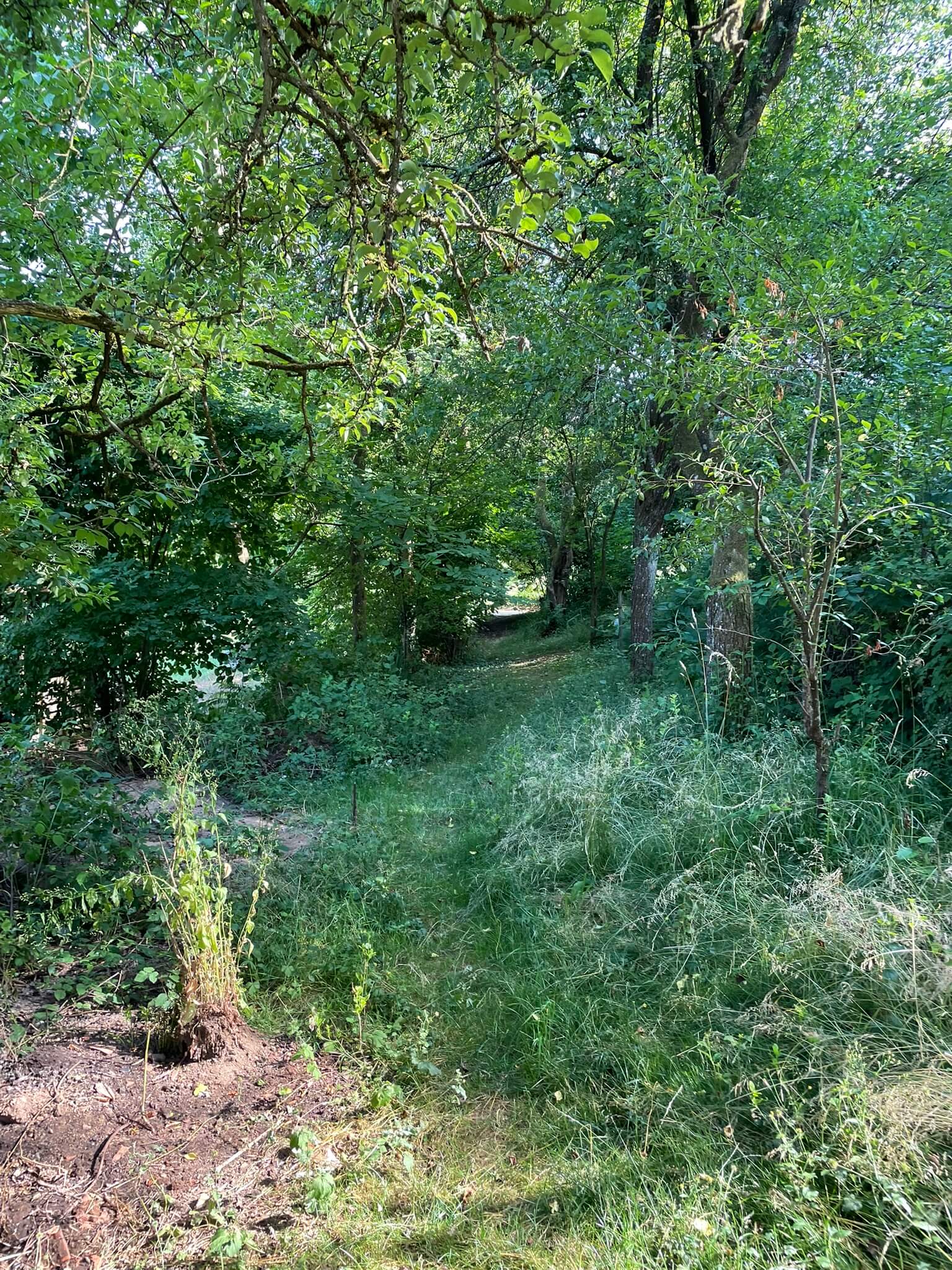 Garten