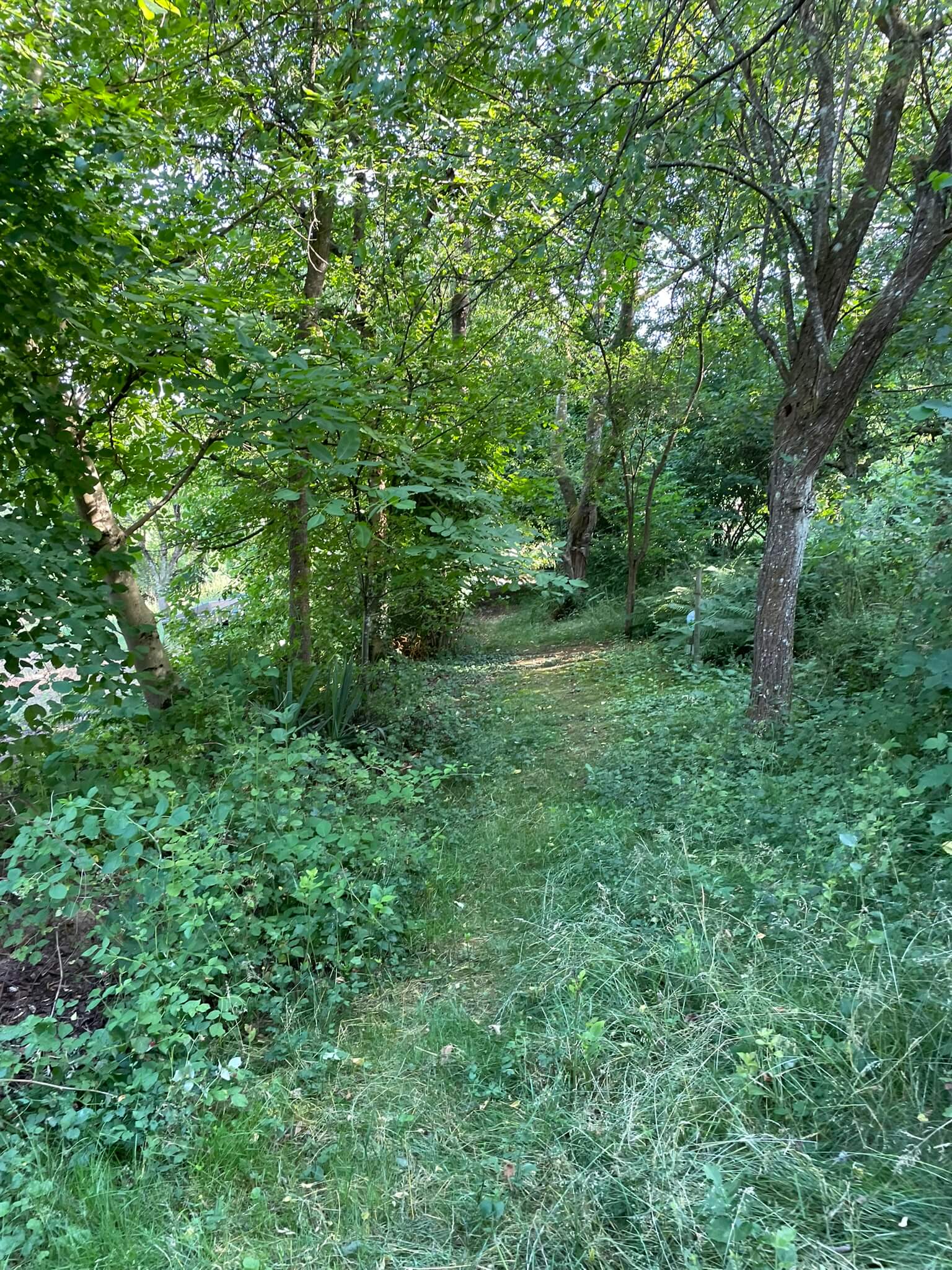 Garten
