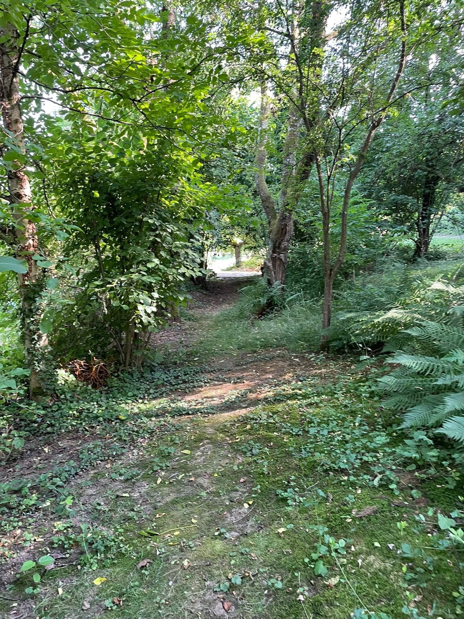 Garten