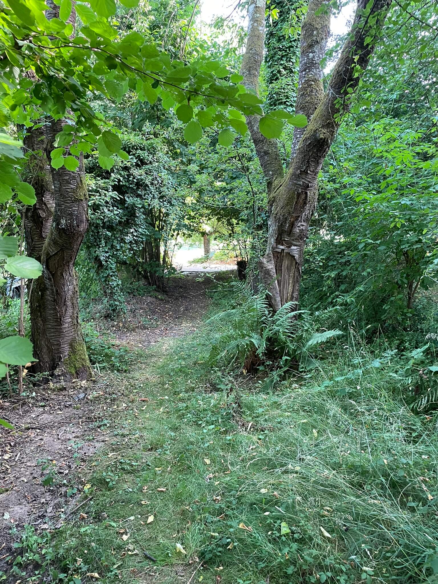 Garten