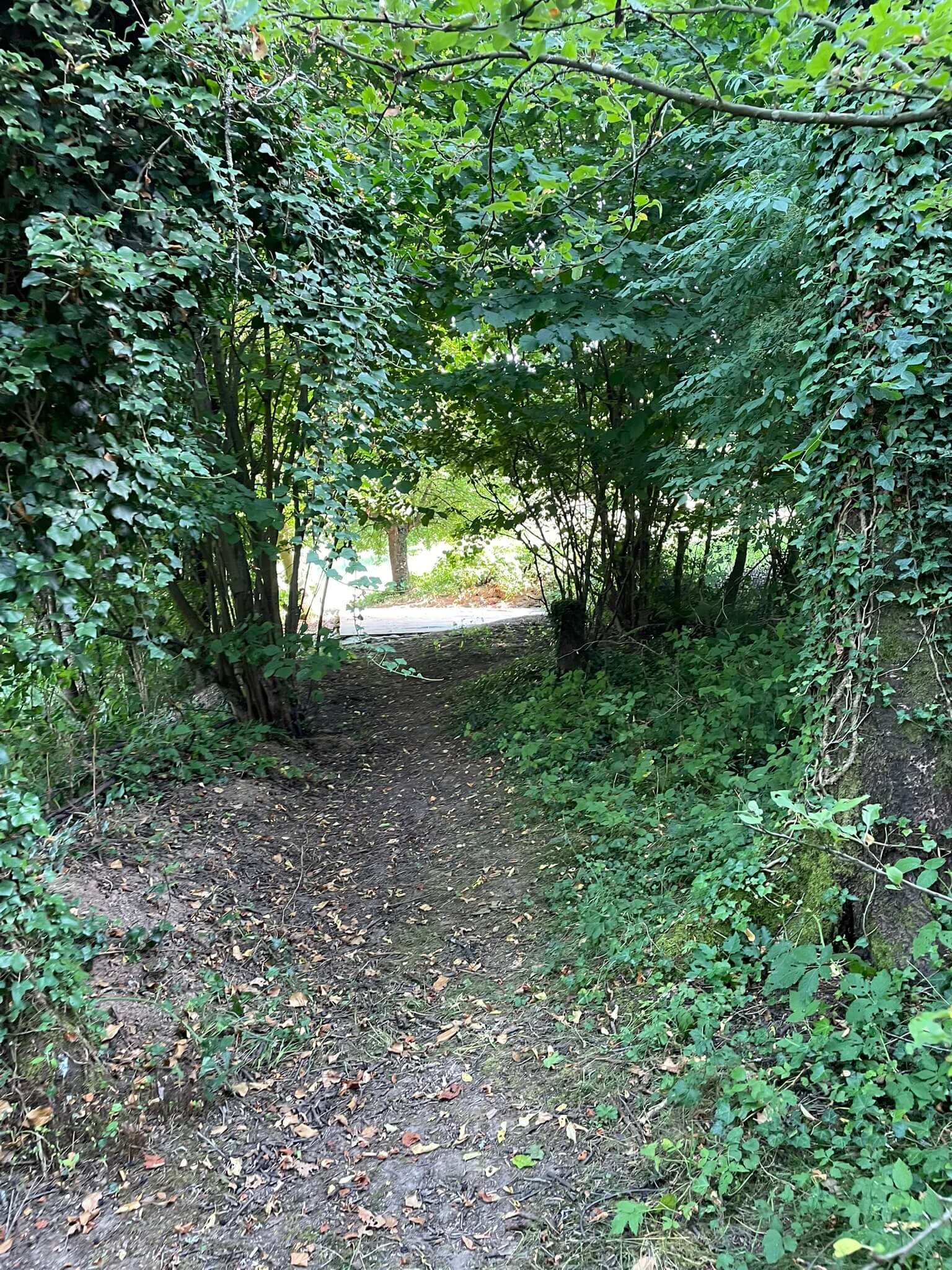 Garten