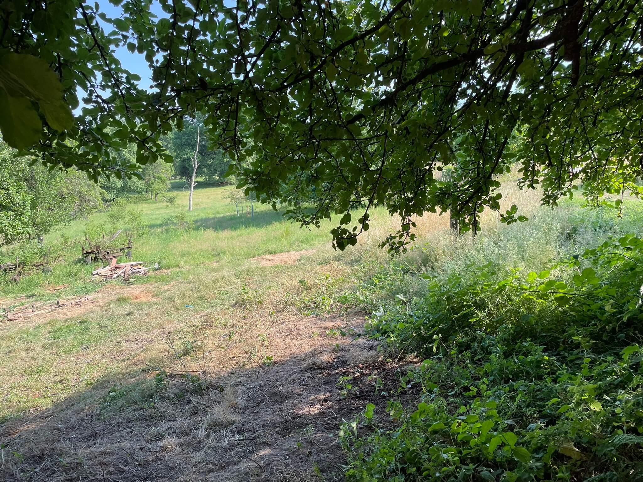 Garten