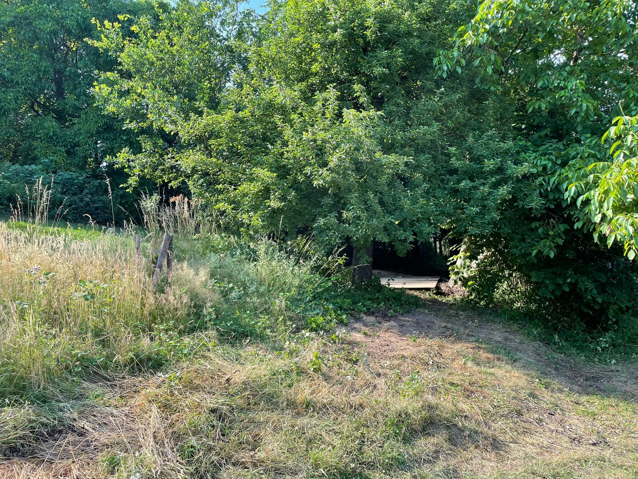 Garten